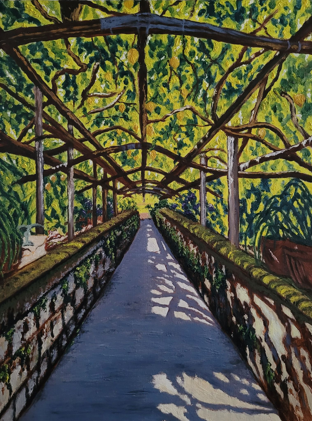 Gaj cytrynowy w Sorrento, 61x46, olej płótno, 2024