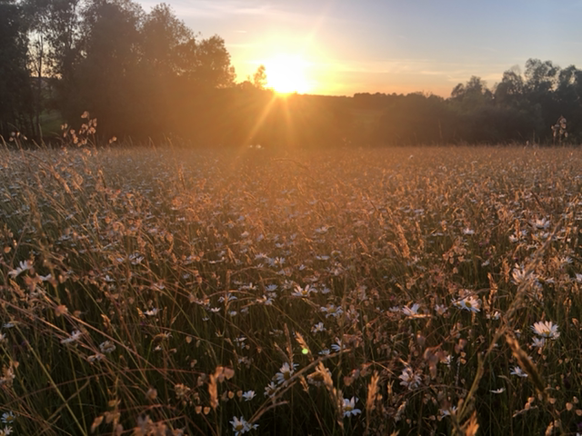 MASSAGE RELAXANT (1h15)