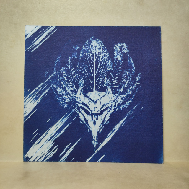 Cyanotype Empreinte "The First"