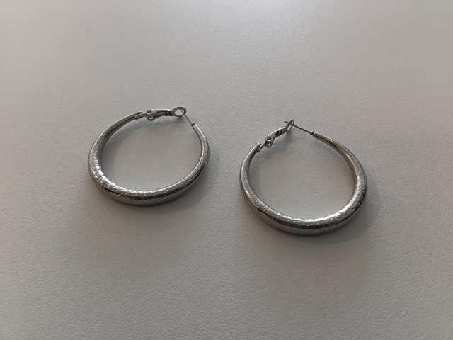 Oorbellen zilver ring