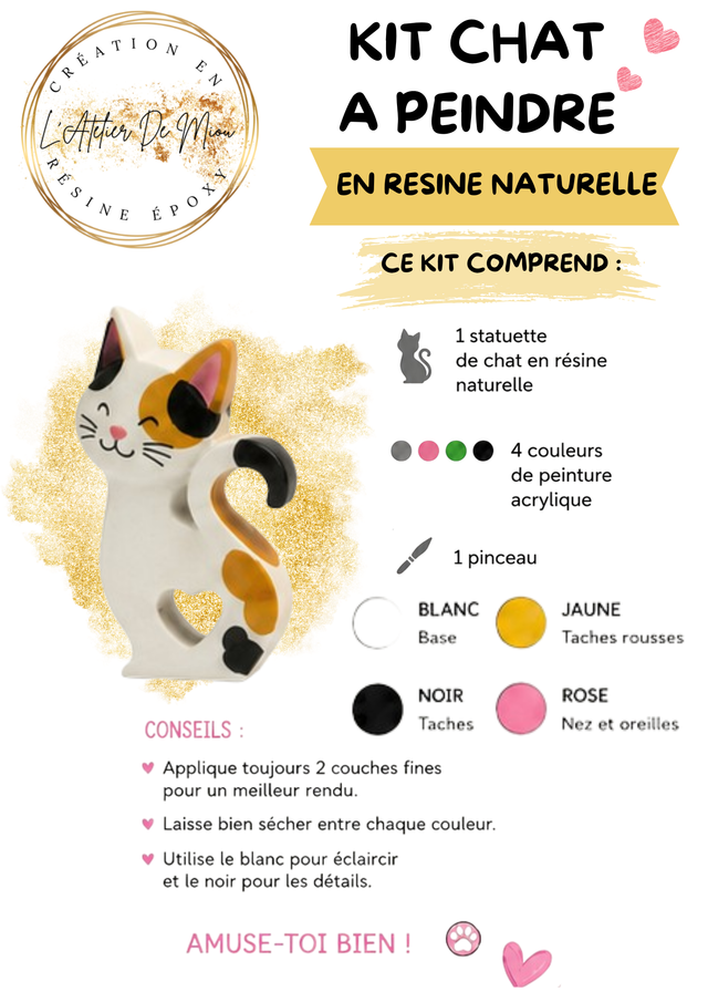 Kit de Peinture Chat