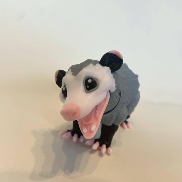 Opossum