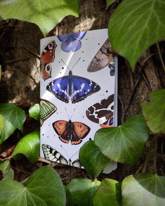 Carnet format A6 - Lépidoptères