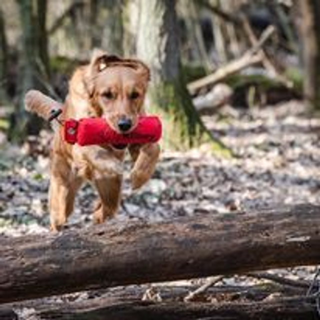 Dummy Samstags 10-11:30 Uhr Winterzeit (1)