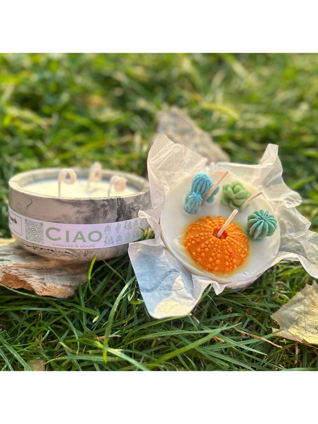 Luminous Cactus Disc