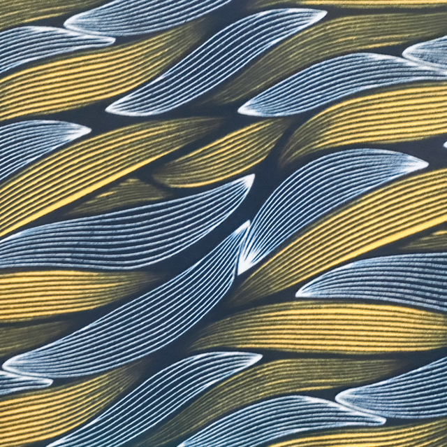 Wax Malawi 1m80 Polycoton