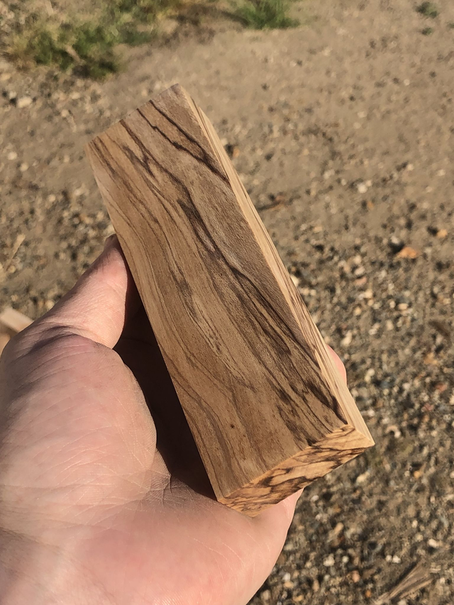 Houx très échauffé