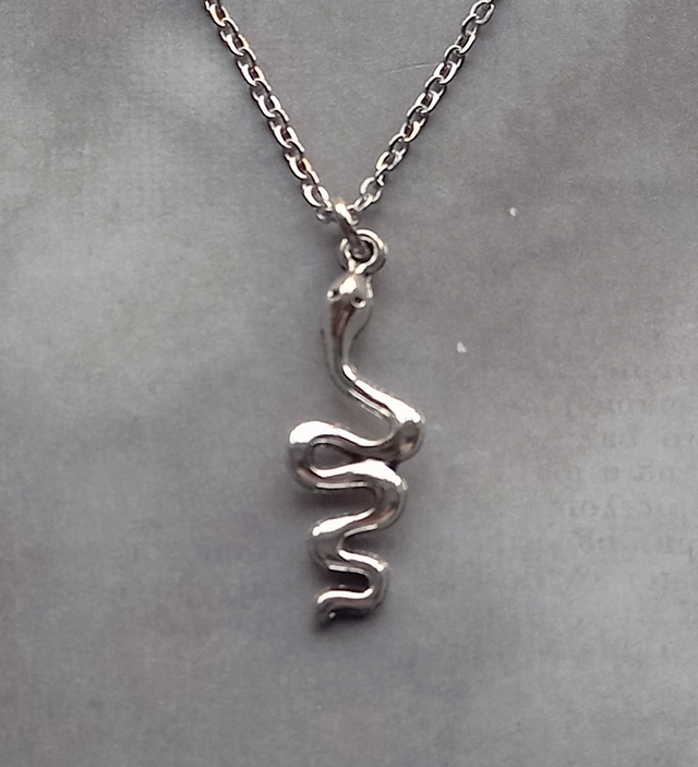Small Snake Necklace 