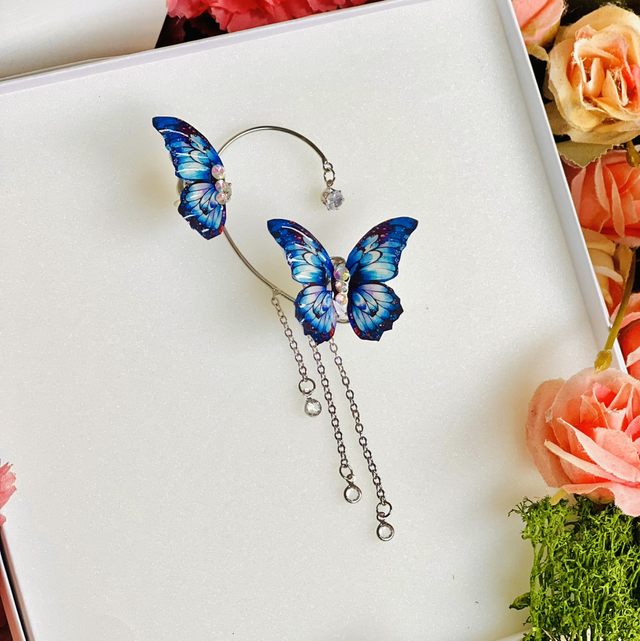 Palette de bleus, tour d’oreille argent 