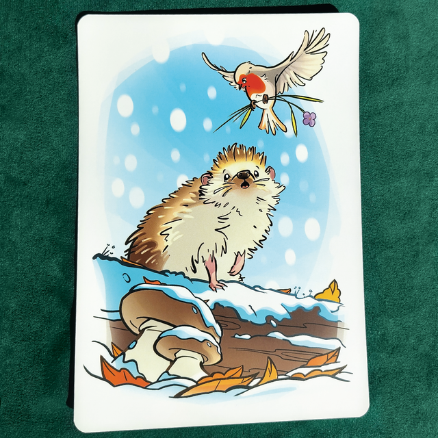 A5 - Cuicui le Rouge-gorge rencontre : le Hérisson