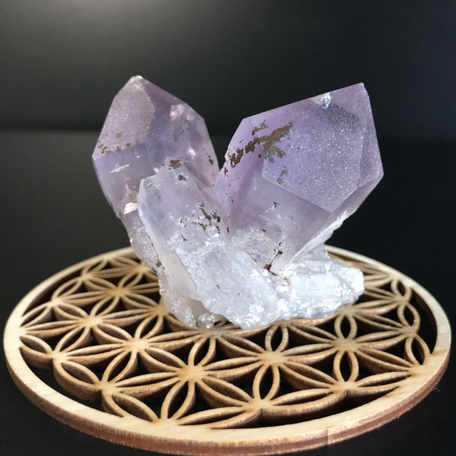 AMETHYSTE JACARANDA - CLUSTER [ ZAMBIE / Afrique Australe]