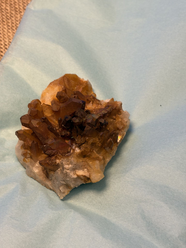 Golden healer large cluster