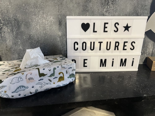 Housse boite à mouchoir