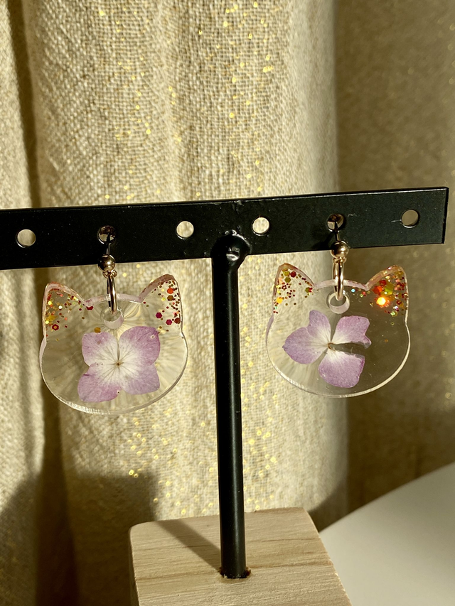 BO chats - hortensia