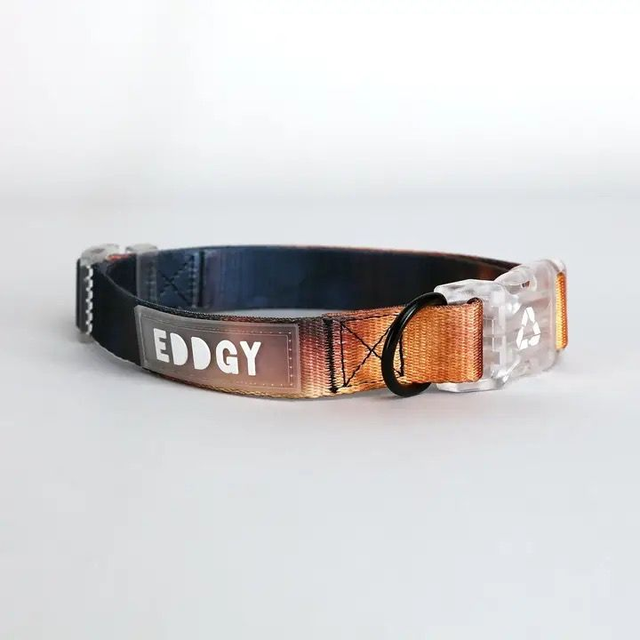 EDDGY Collar - Bruce