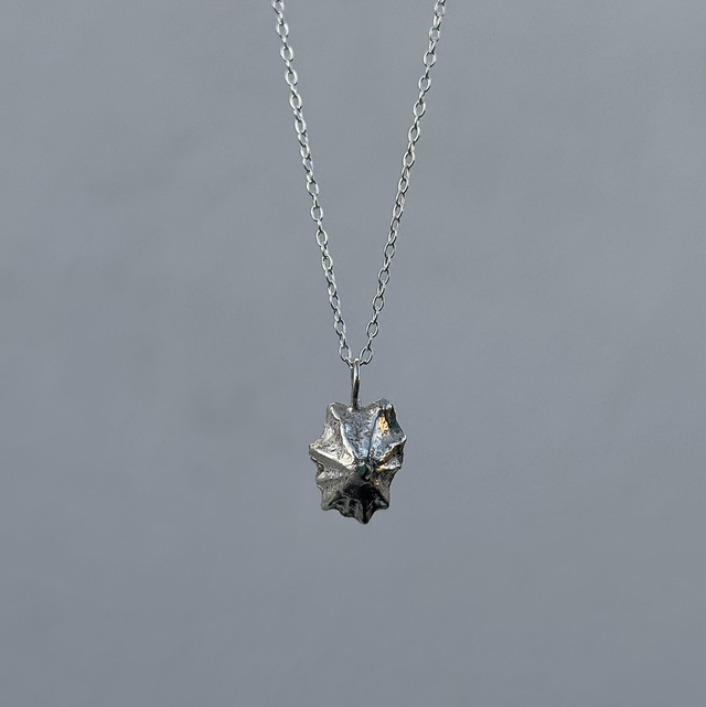 Limpet Shell Necklace