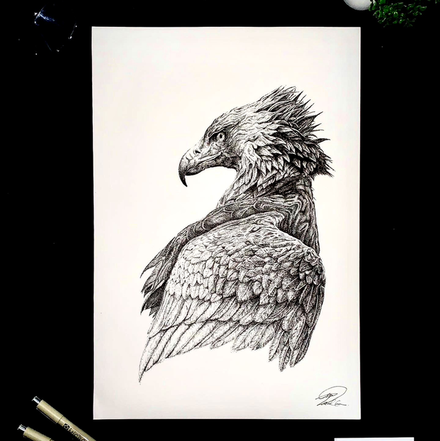 Golden eagle 