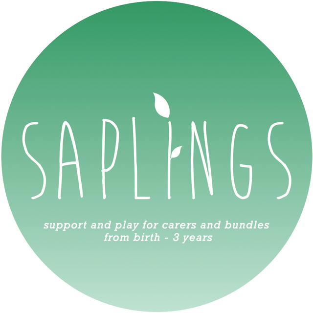 Saplings Child Minder