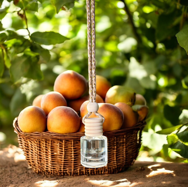 Diffuseur voiture Pêche 