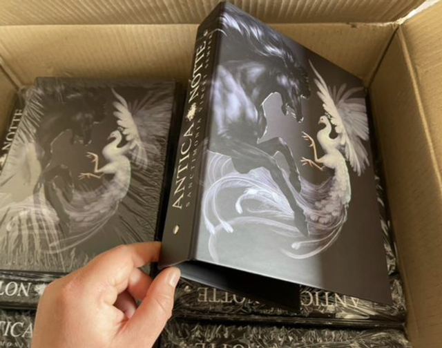 Quaderno ad anelli * TIPO 2