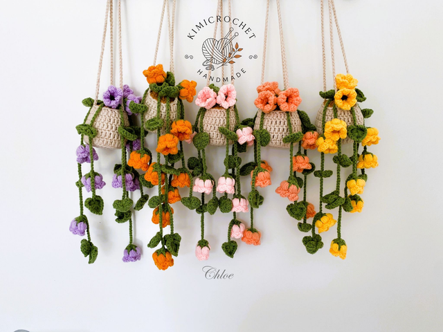 Campanula Hanging Pot