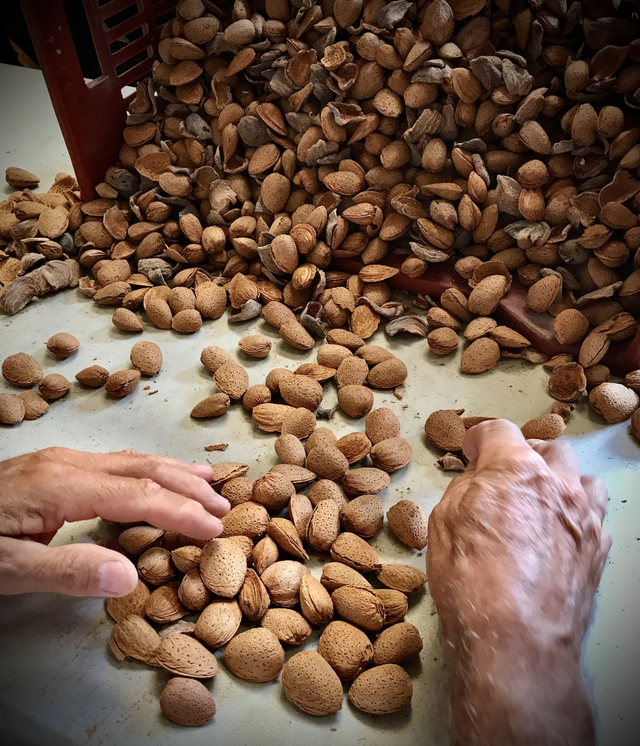 Amande coque certifiée BIO 1kg