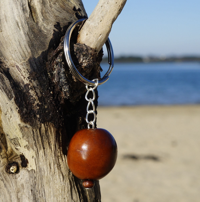 Simple graine marron