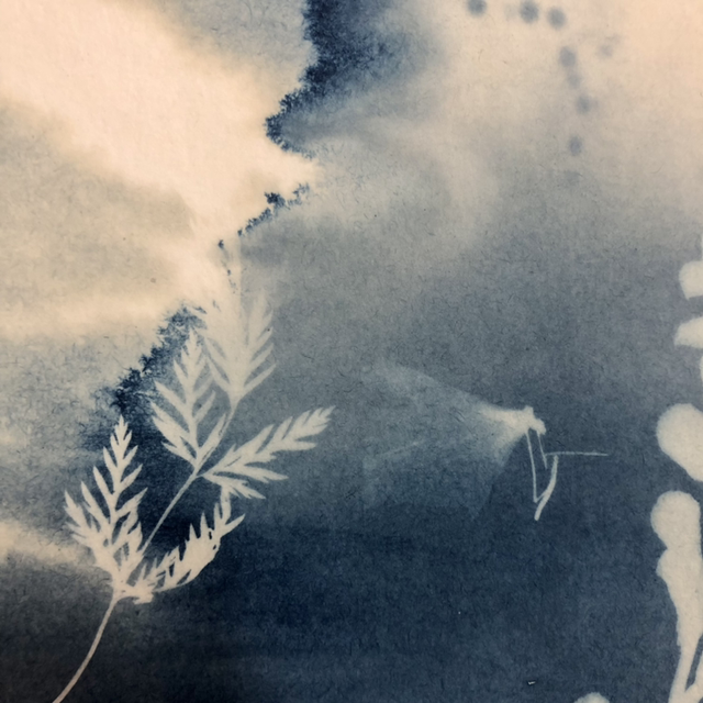 Cyanotype - « Entrées maritimes »