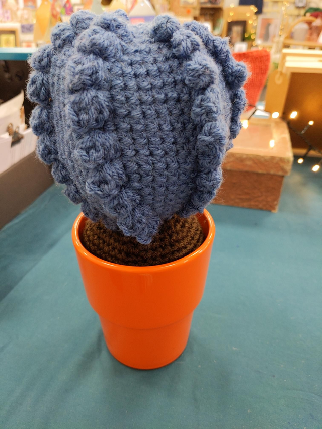 Plant — Peruvian Apple 