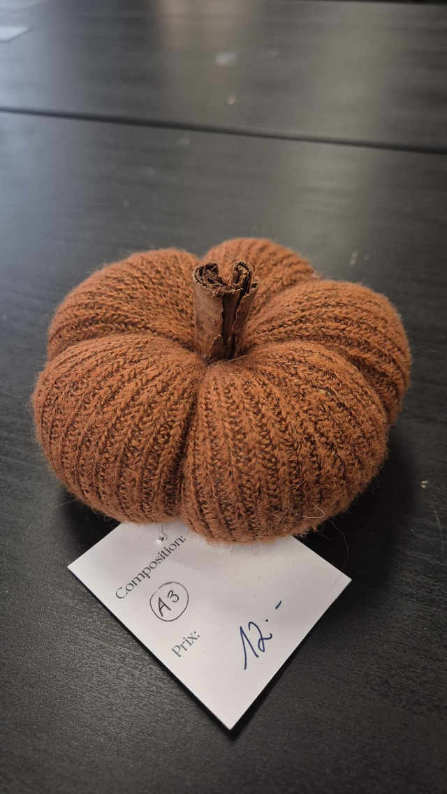 A3/Courge moyenne, canelle