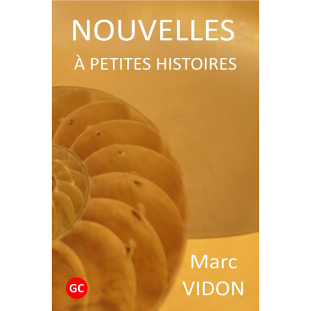 Nouvelles à petites histoires - Edition Grands Caractères