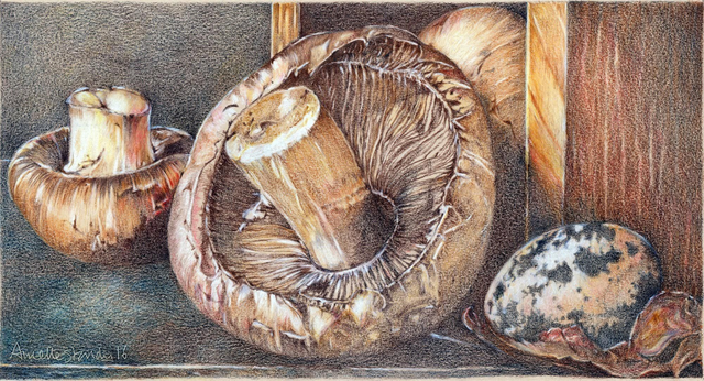 Mushrooms and Quails Egg