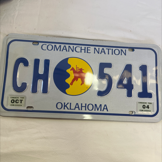 plaque d’immatriculation décorative 