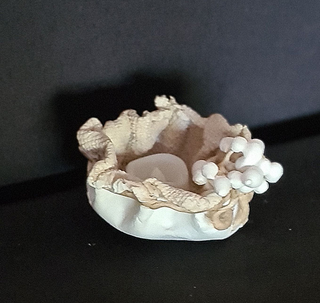 &quot;Panier de Lumière&quot;