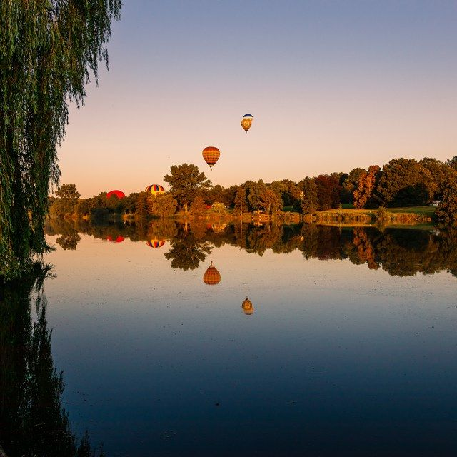 Montgolfiade mit Trauerweide