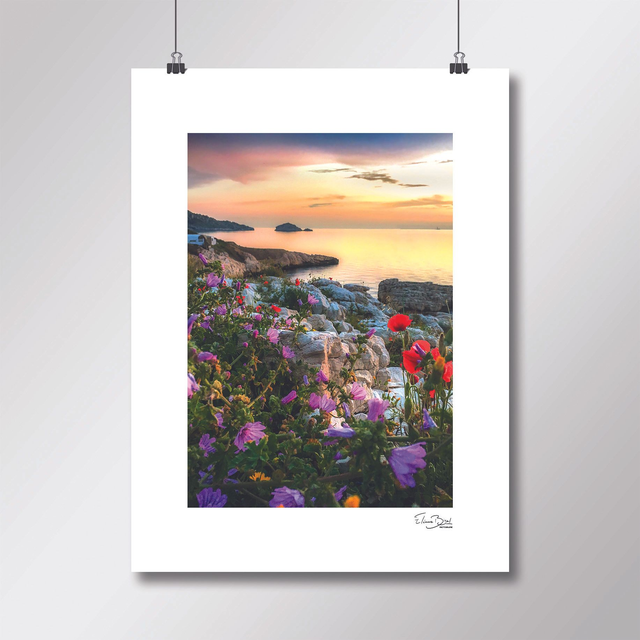 Affiche « Le pouvoir des fleurs »