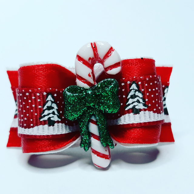 Noeud pour chien-sucre d&#039;orge-Noel