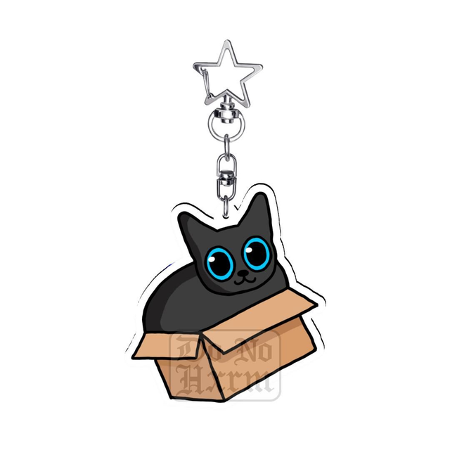 Cat In A Box Acrylic Keyring
