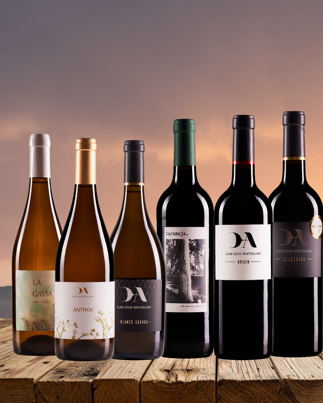 Pack Las dos Antiguas Family