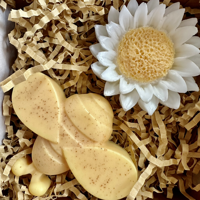 Honey bee &amp; Turmeric  Gift Set Box, 