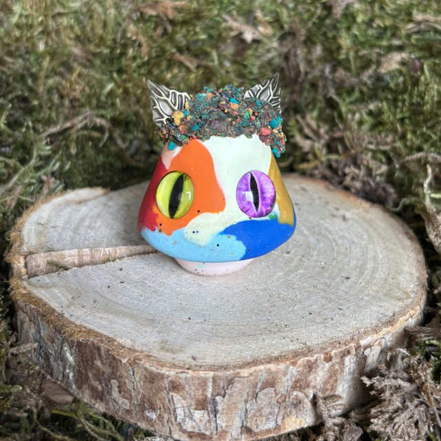 Champignon 33