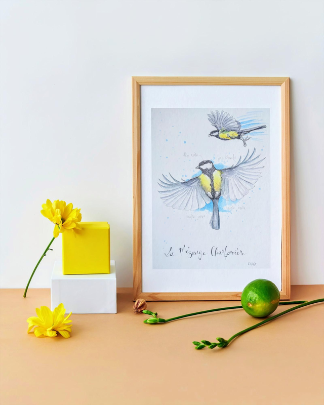 Tableau original à l'aquarelle mésanges charbonnières et anotations anatomiques, A4