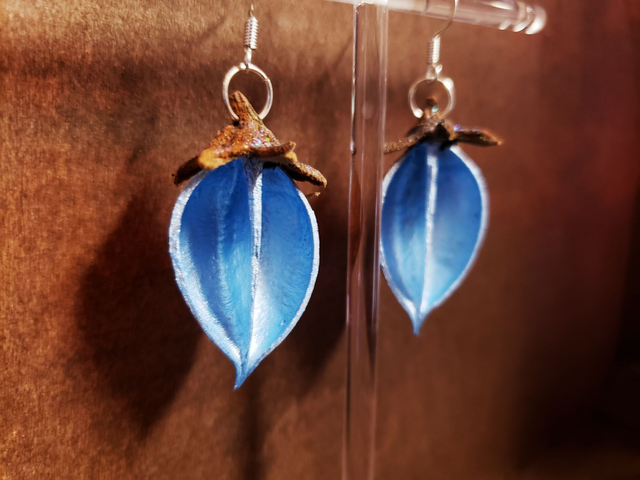 Ohrringe Blauglockenbaum blau/bronze