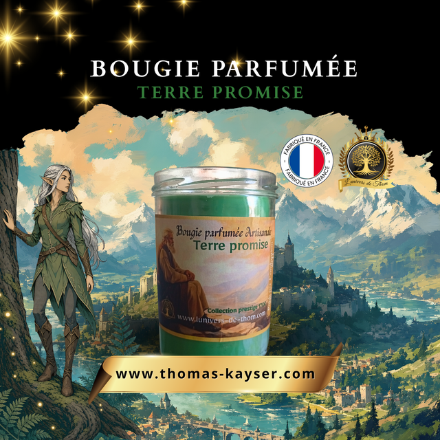 Bougie parfumée artisanale – Terre Promise 340 G
