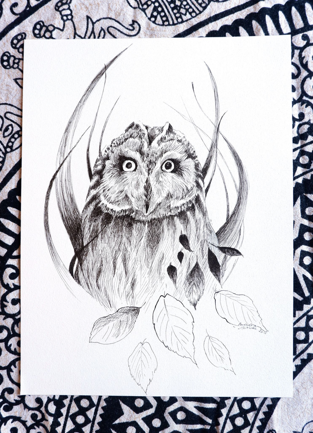 Illustration originale en noir et blanc "Monsieur Hibou"