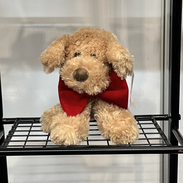 Limited Addition #dadsties mini me 