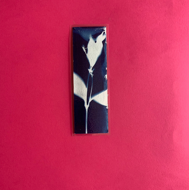 Marque page cyanotype végétal original sur papier épais et plastifié