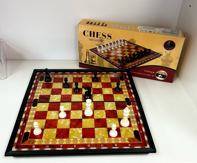 Gioco scacchi magnetico