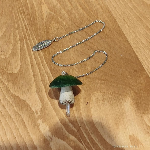 Champidule - Bolet Vert