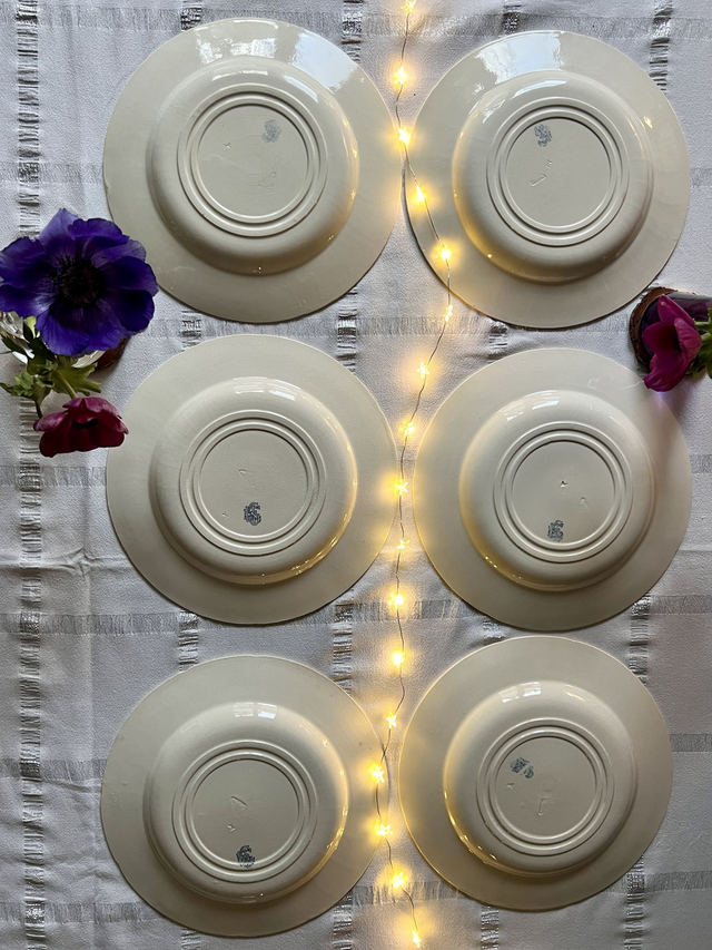 OISEAUX - Suite de 6 assiettes creuses aux Oiseaux par la manufacture française de Gien - Terre de Fer